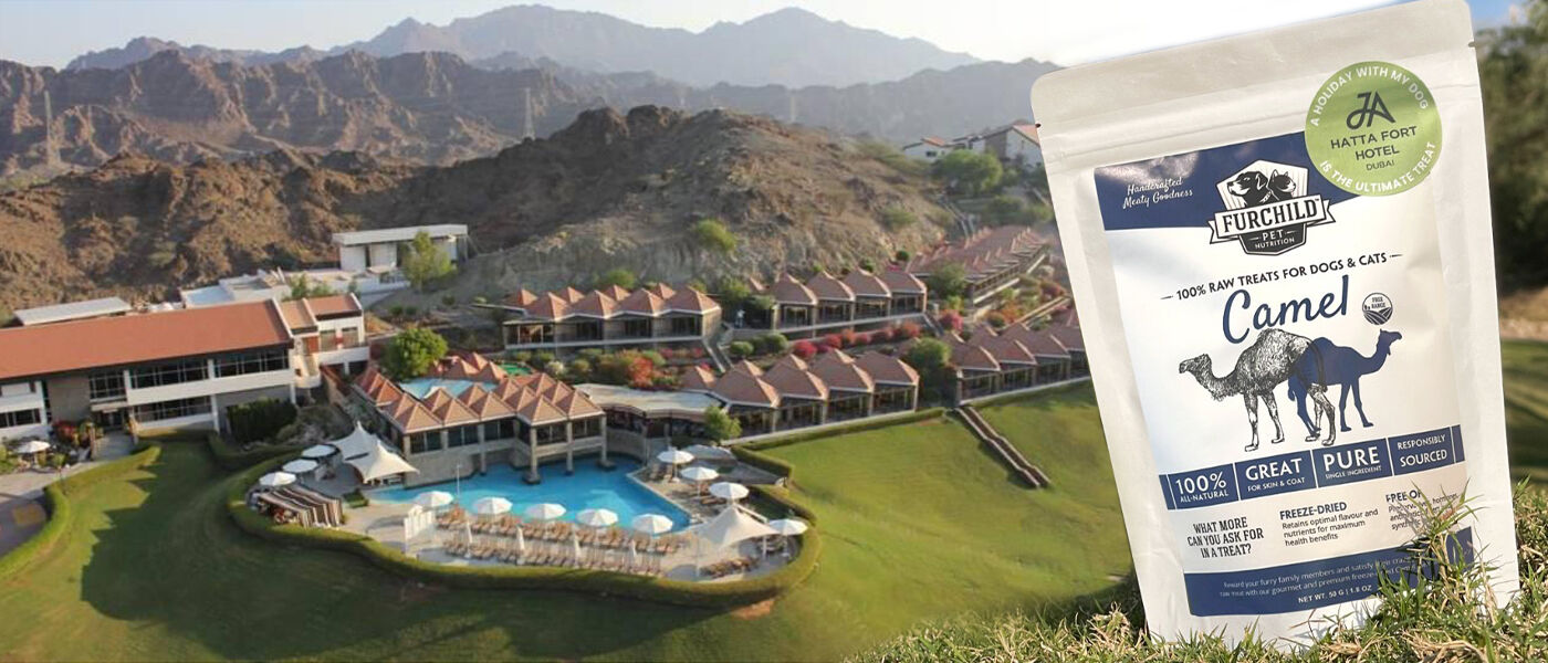 JA Hatta Fort Hotel with Furchild Premium Freeze-dried Camel Treats